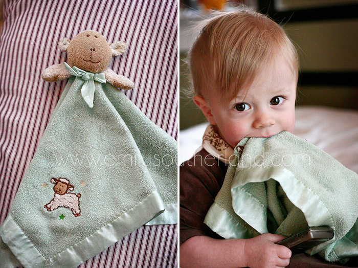 Emily's Little World How To Introduce a Lovey into Your Baby's Life