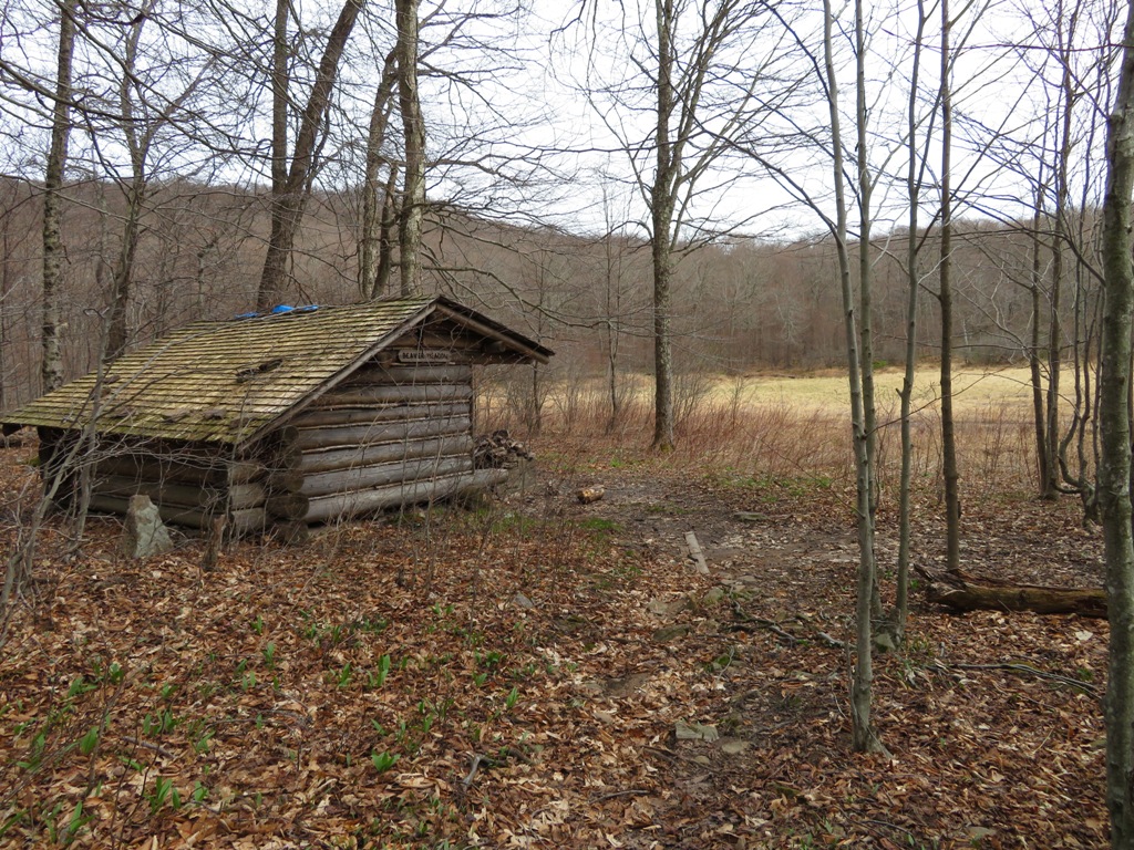 Mountain Wandering Catskills Alder Lake & Beaver Meadows, 4/25/19