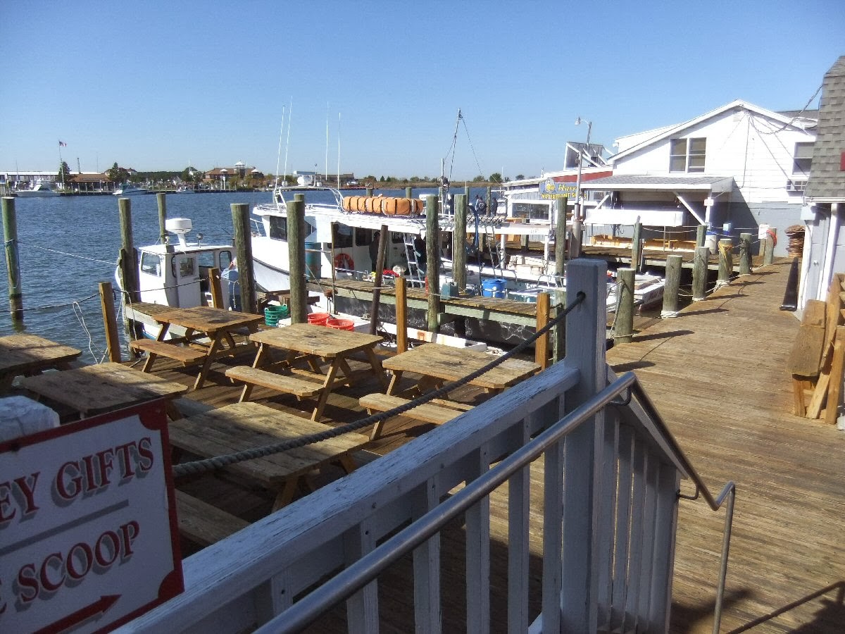 Pauline Persing Art, Writing,& Natural History Harris Crab House at