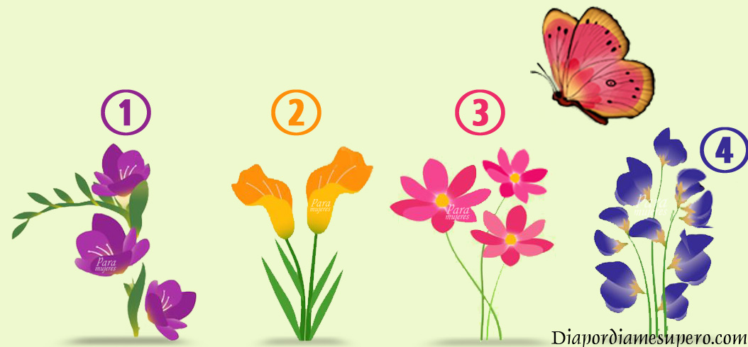 Test: ¿En qué flor la mariposa va a posarse?