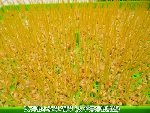 �p��,�߯�ش�,�߯�شӤ�k,�߯�,�߯�O����,�߯�diy,�߯�p����,�߯����,�^�K���@�k,�ؿ߯�