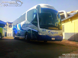 Autotransportes Aguila - Gallery 2 @ Autobuses Digitales MX • Bus & Coach  Digital Imaging