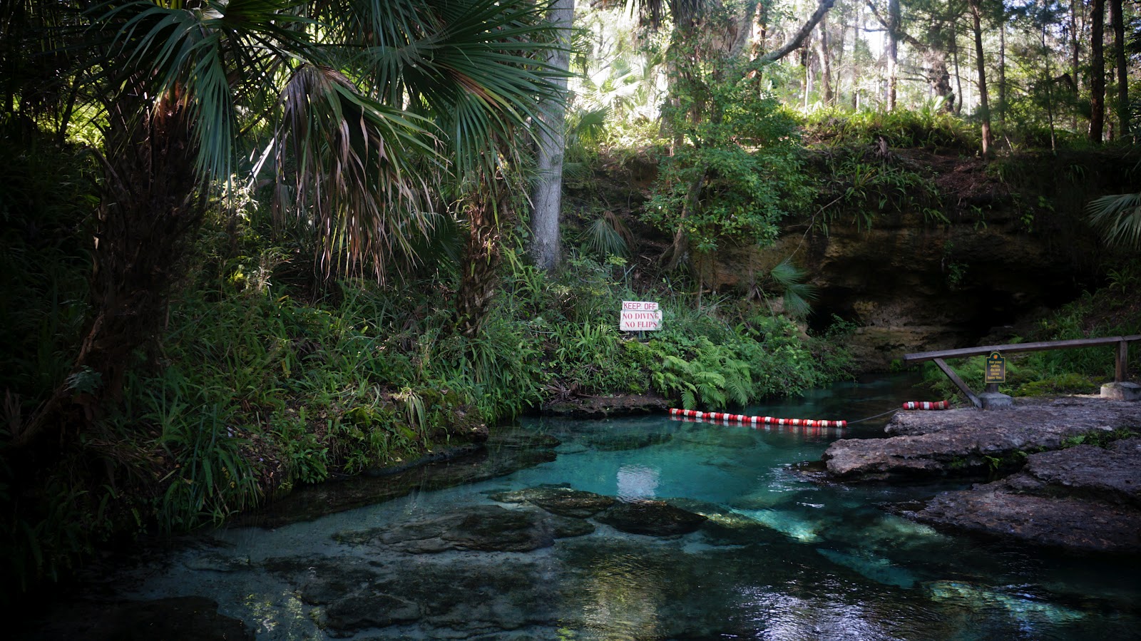 MERRILL Day 6 Tubing at Rock Springs