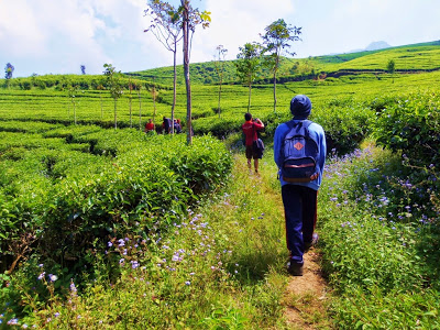 Pendakian Gunung Butak