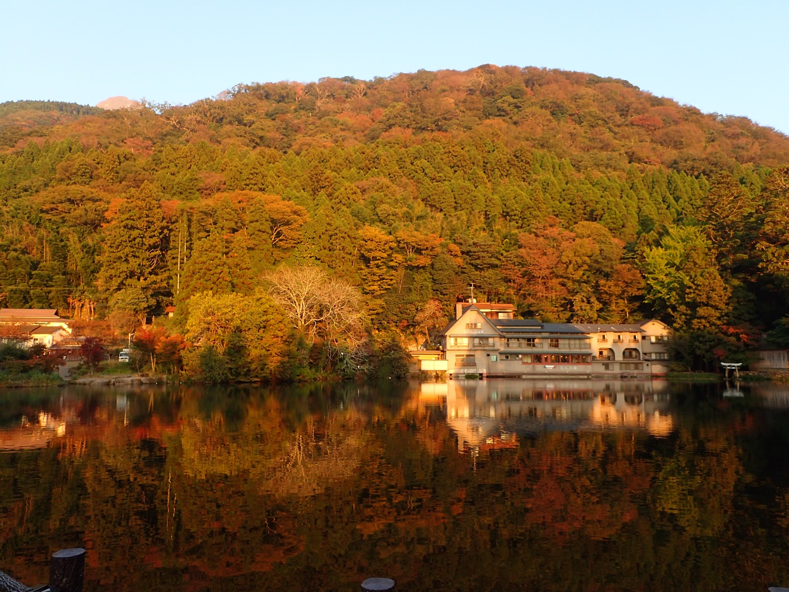 來找我玩 九州賞楓泡溫泉