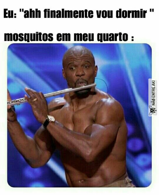 Memes+engra%25C3%25A7ados++%25281%2529.j