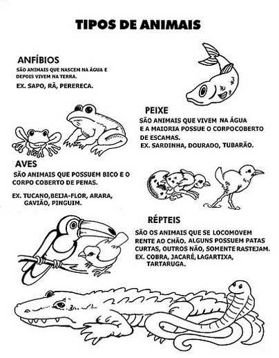 Atividades para o Dia dos Animais 4 de Outubro Atividades para o Dia dos Animais 4 de Outubro