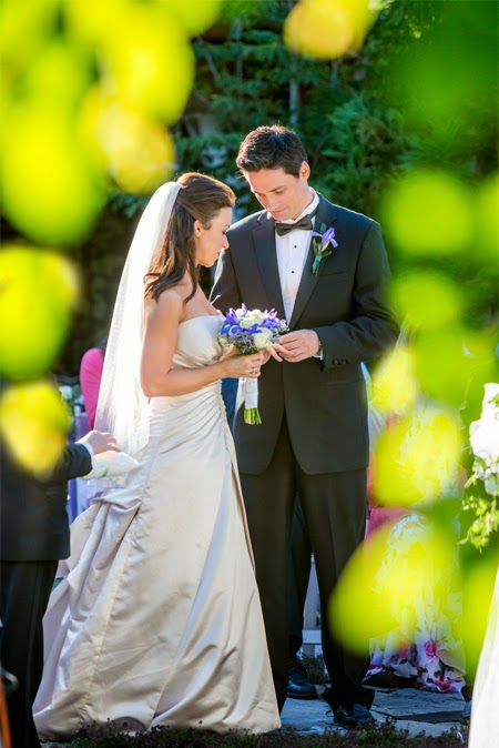 Get Learning To Love Again Hallmark Movie Background