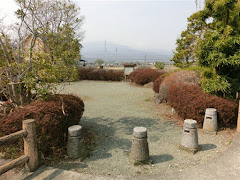 捨苗栽培地