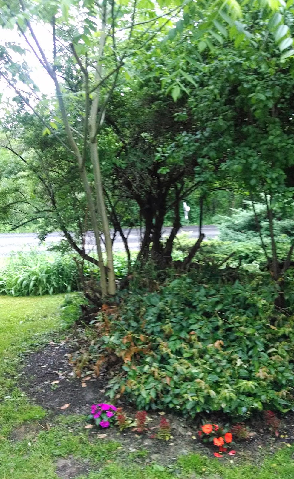 Columbia County New York Real Estate Why Winter May Be The Best