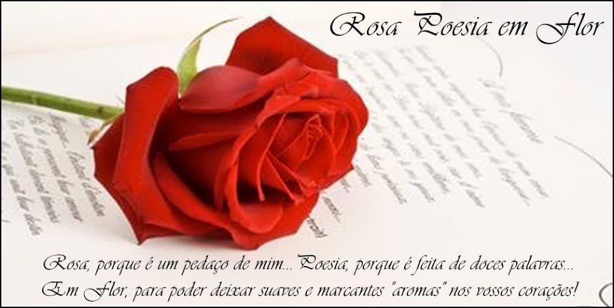 Rosa Poesia em Flor