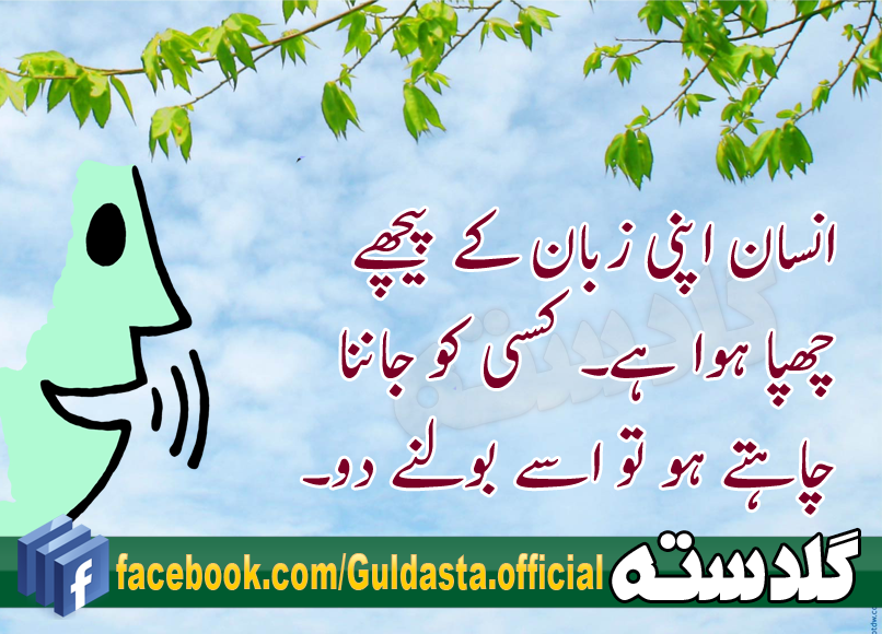 Guftagu ke adaab essays