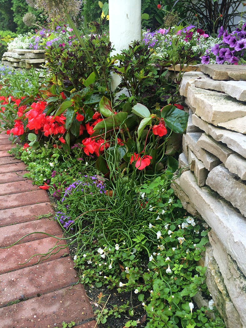 Mackinac Island gardens: The Impatient Gardener