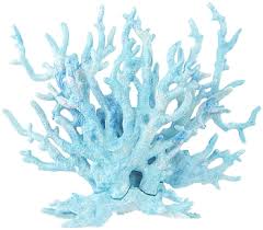 coral blue coral blue