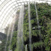 CLOUD FOREST : A Breezy Spacious Greenhouse  