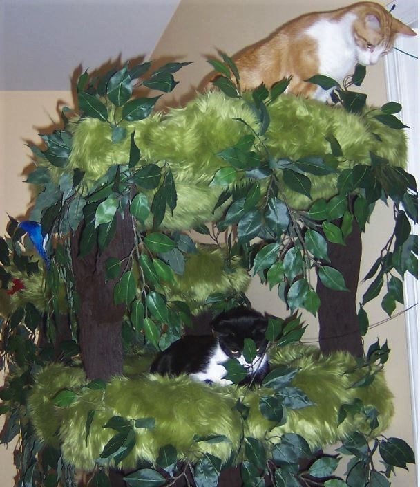 Luxury Cat Trees for Spoiled Rotten Kitties Tall Cat Trees