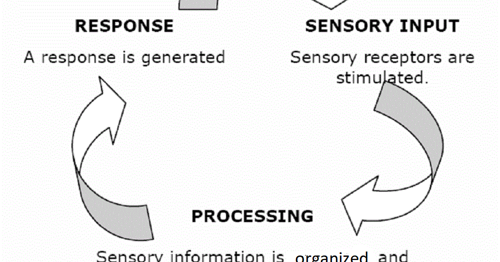 My ASD Child Raising Kids on the Spectrum Sensory Processing