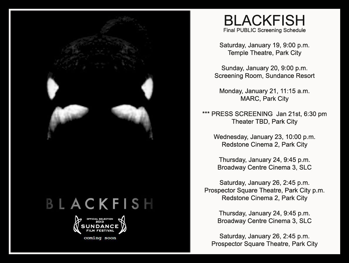 Voice of the Orcas Blackfish Movie Premieres at Sundance Film Festival