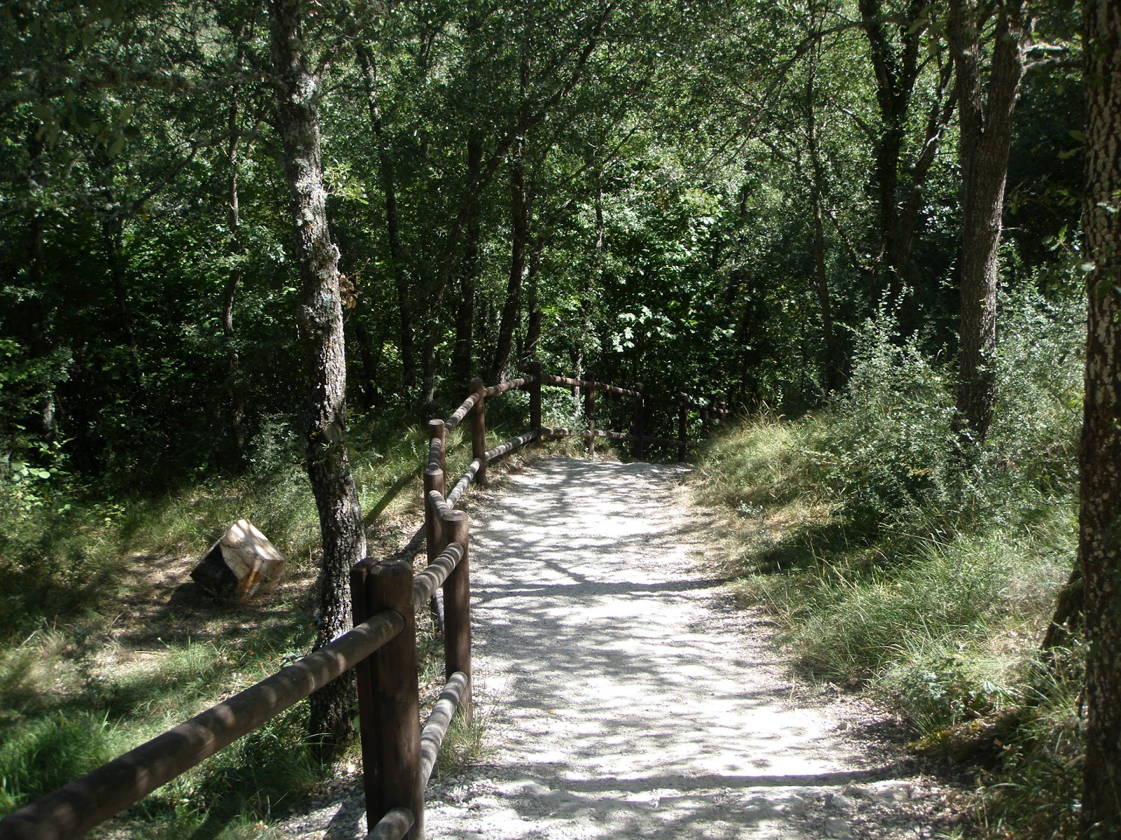 Caído de la hoja del calendario: Tierras magicas