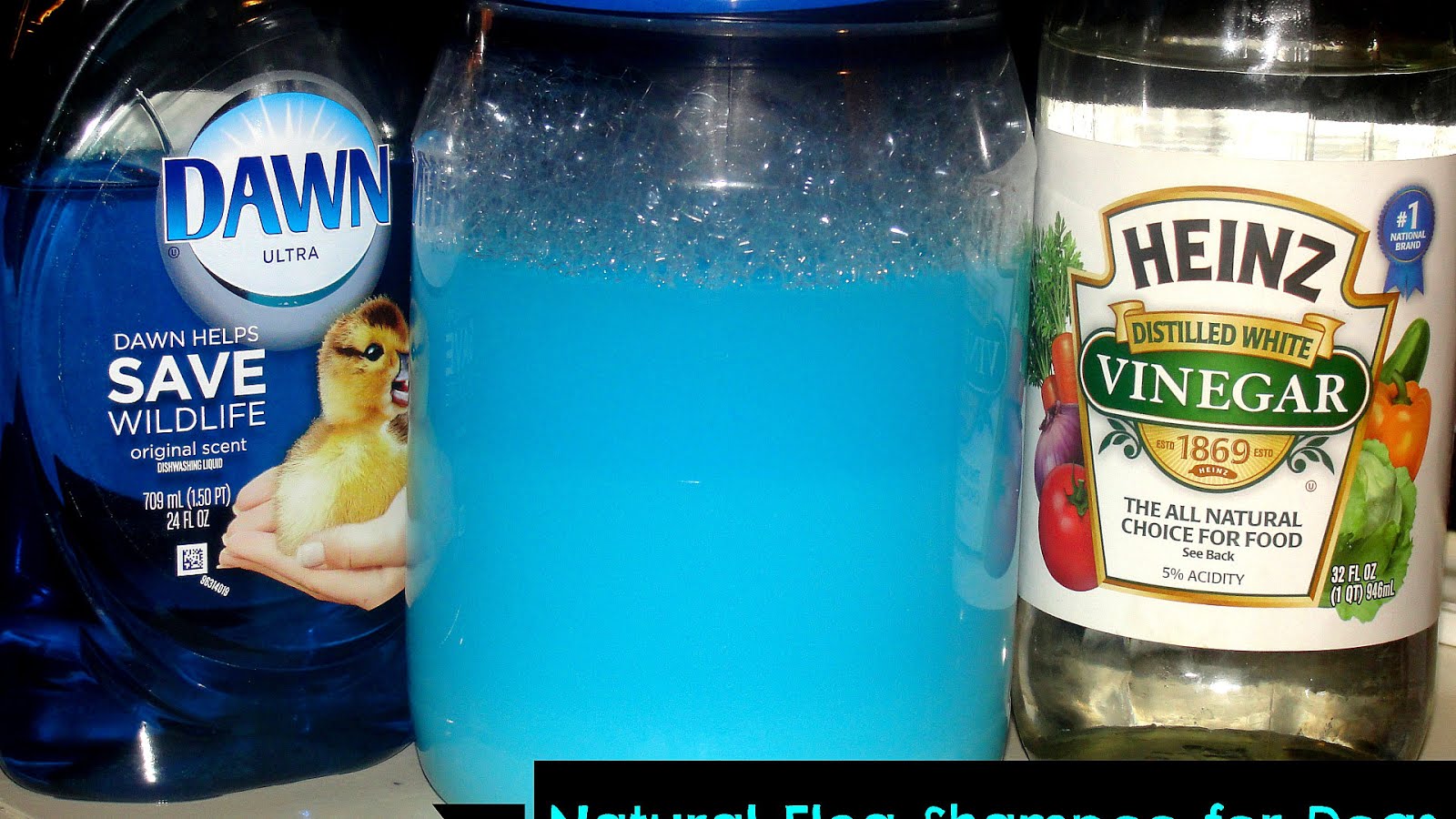 Homemade Flea Killer For Dogs Dog Choices