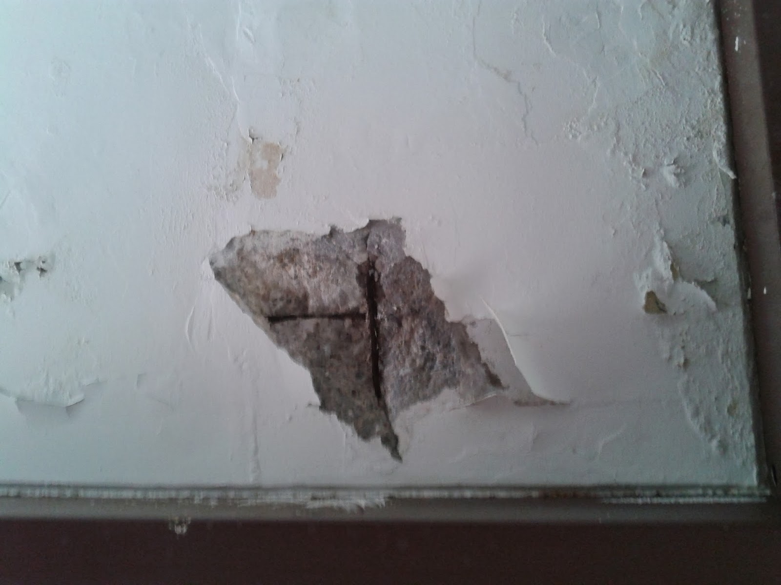 @ Mtro. "Rafael Ramírez" Tepic, Nayarit. Mexico: Rehabilitación de los