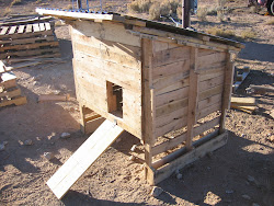 chicken coop pallets pallet coops making plans kippenhok farm difference building diy hay striving backyard richard afkomstig van