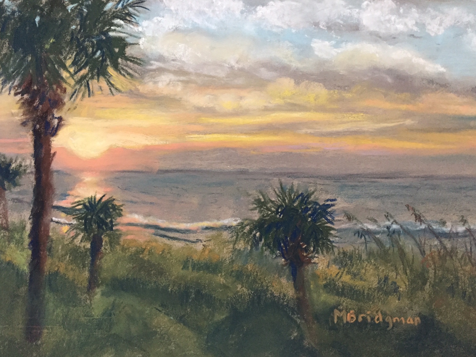 Art Central Gallery, Summerville News & Events Skylights by Mary Ann