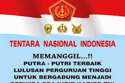 Seleksi Penerimaan Perwira TNI 2014 Dikmapa PK