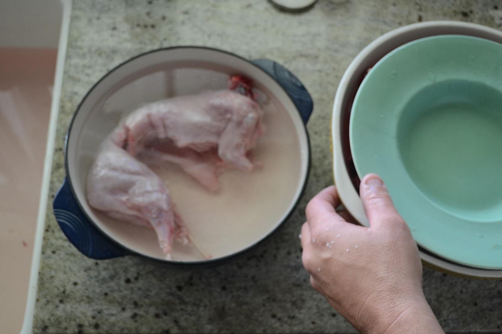 ivy nest on eating rabbit