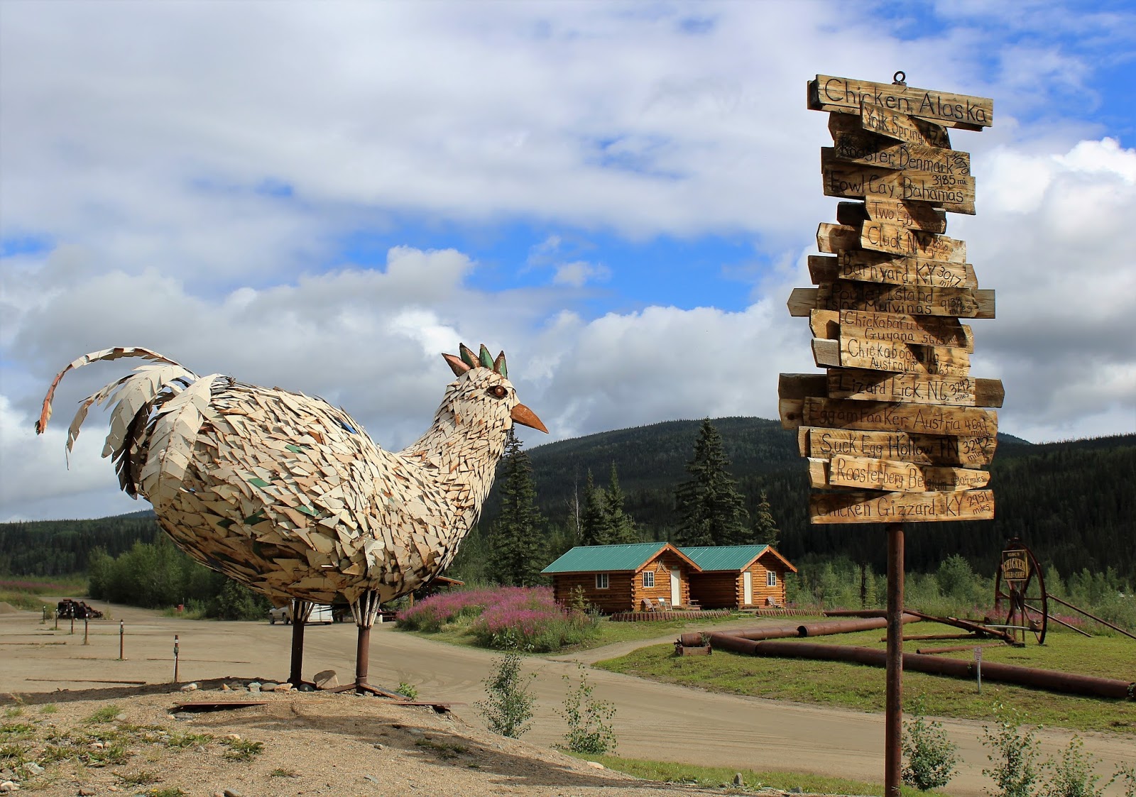 The Town of Chicken, Alaska