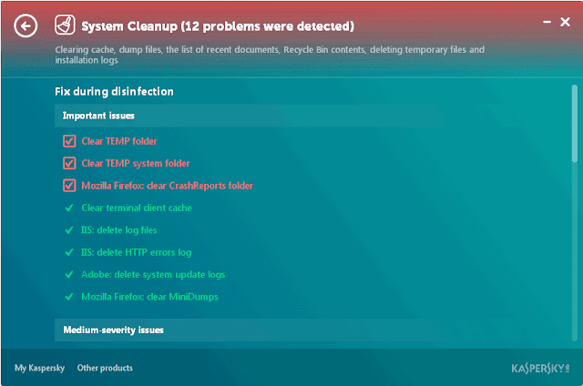 Kaspersky Cleaner lista problemi trovati
