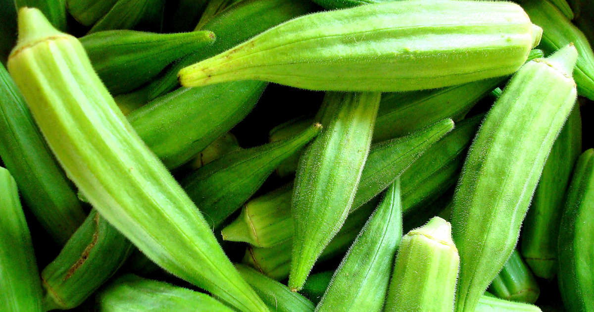CONTROL DISEASE OF OKRA