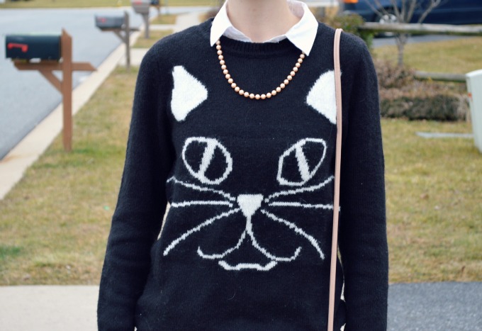 Cat Sweaters | Organized Mess