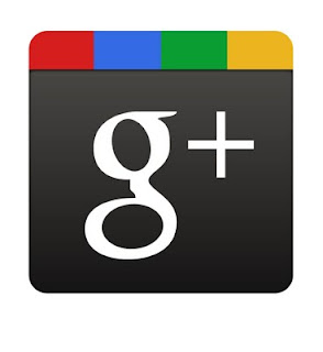 網誌加入Google+相關功能，歡迎「+1」。 