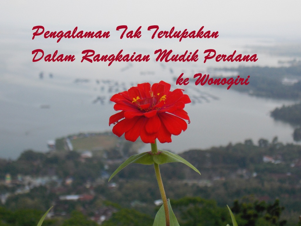 Pengalaman Tak Terlupakan Dalam Rangkaian Mudik Perdana Ke Wonogiri Azzura Lhi