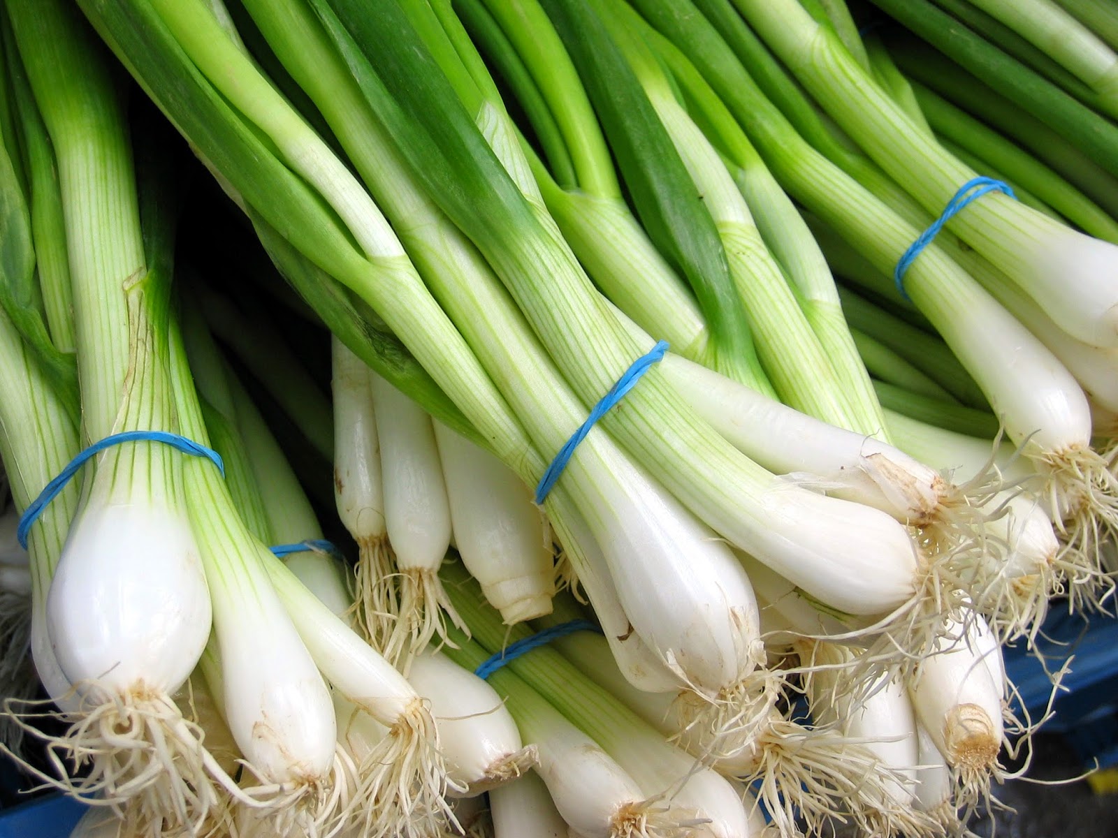 Whole Foods Living Which Color Of Onion Is Healthiest Whole Foods Living Which Color Of Onion Is Healthiest