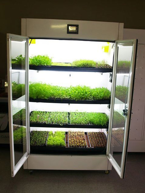 Hydroponic Kitchen Island Hydroponic Kitchen Island