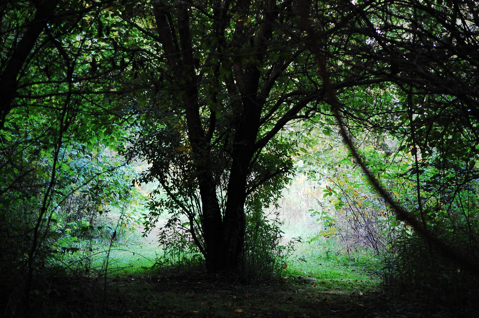 101 Ideas For Save The Marriage System