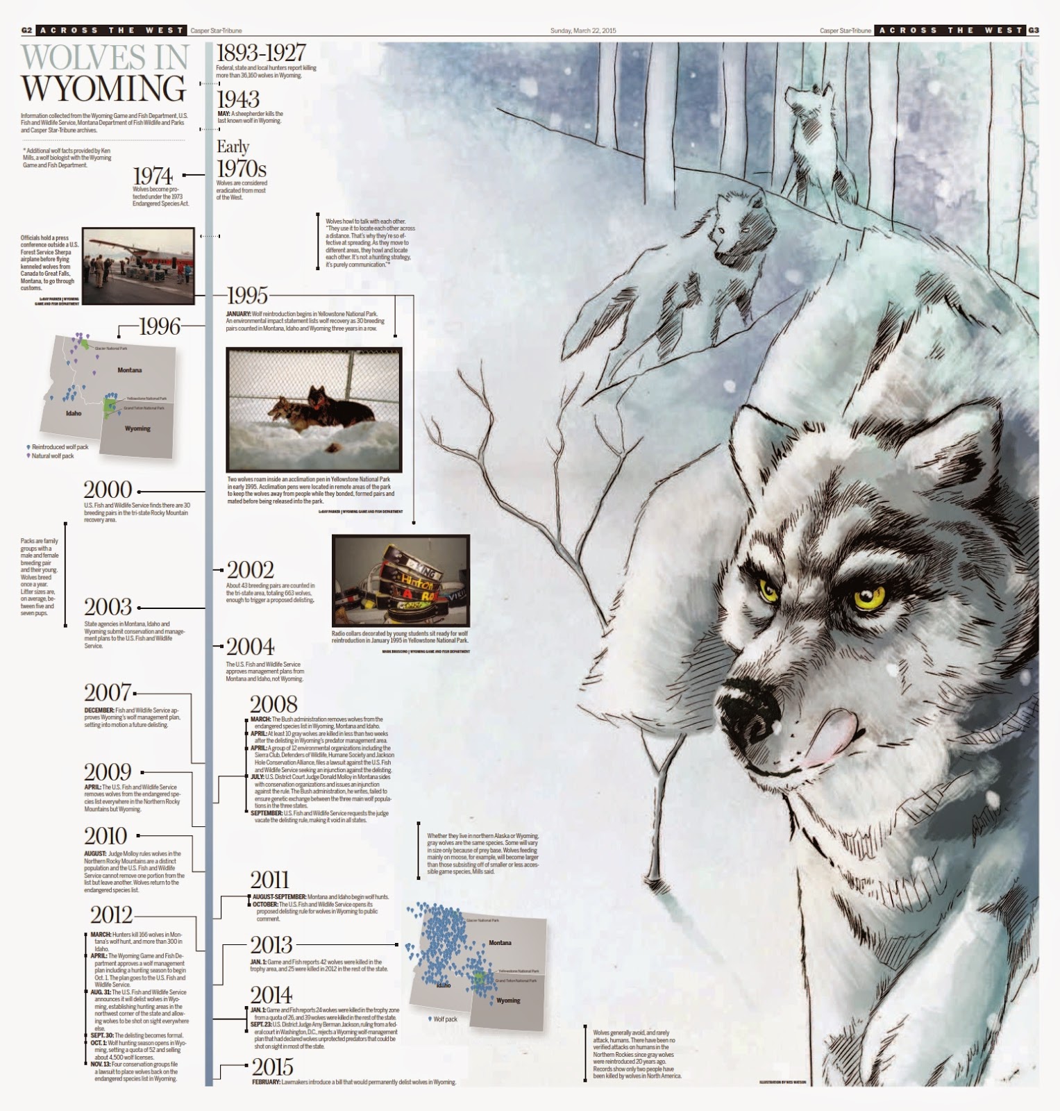 Canis lupus 101: Infographic: A History of #Wolves in Wyoming