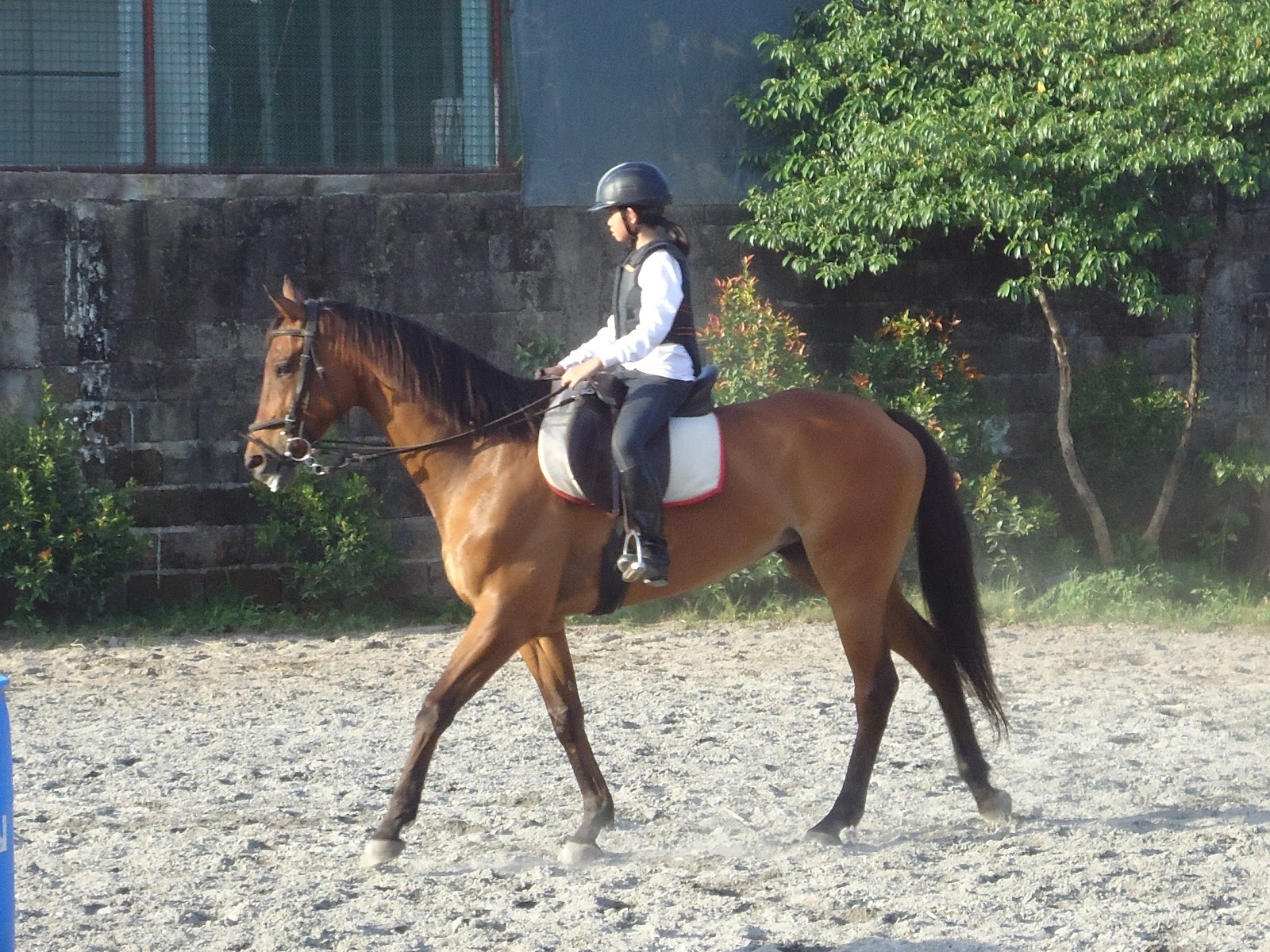 Horse Riding Philippines Yana's Pleasure Ride (in QuasiTime Lapse) Horseback Riding