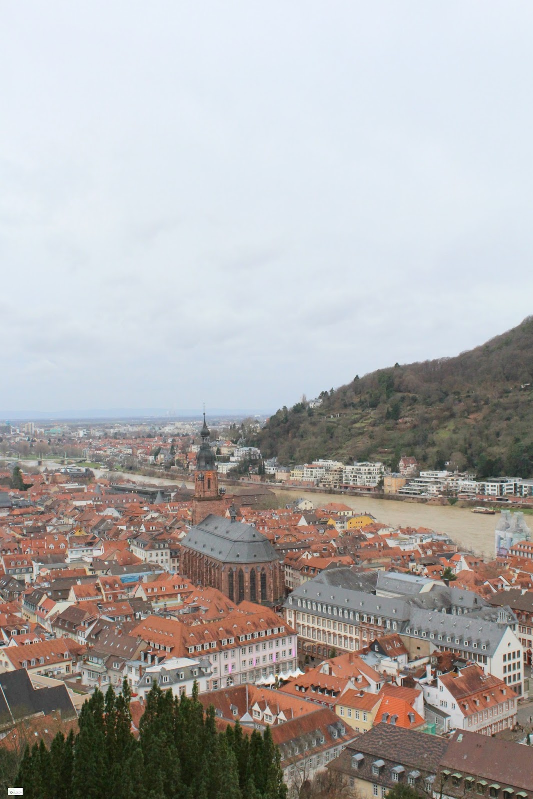 Ryo Central 7 1 12 8 1 12