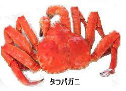 カニの購入ガイド タラバガニ