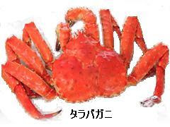 √ダウンロード タラバガ�� メス 168534-タラバガニ メ���