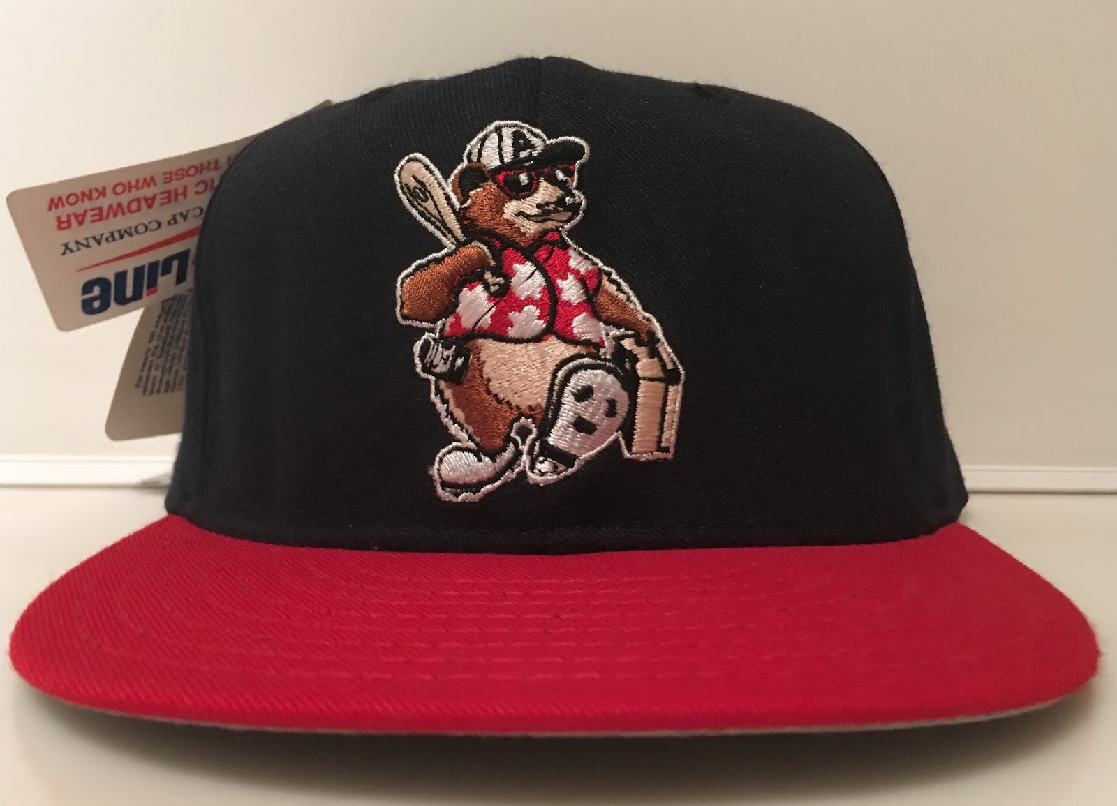 asheville tourists hats