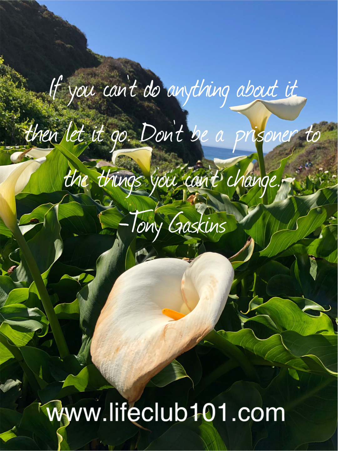 Life is so beautiful.Live your life and enjoy every moment of it: Quote