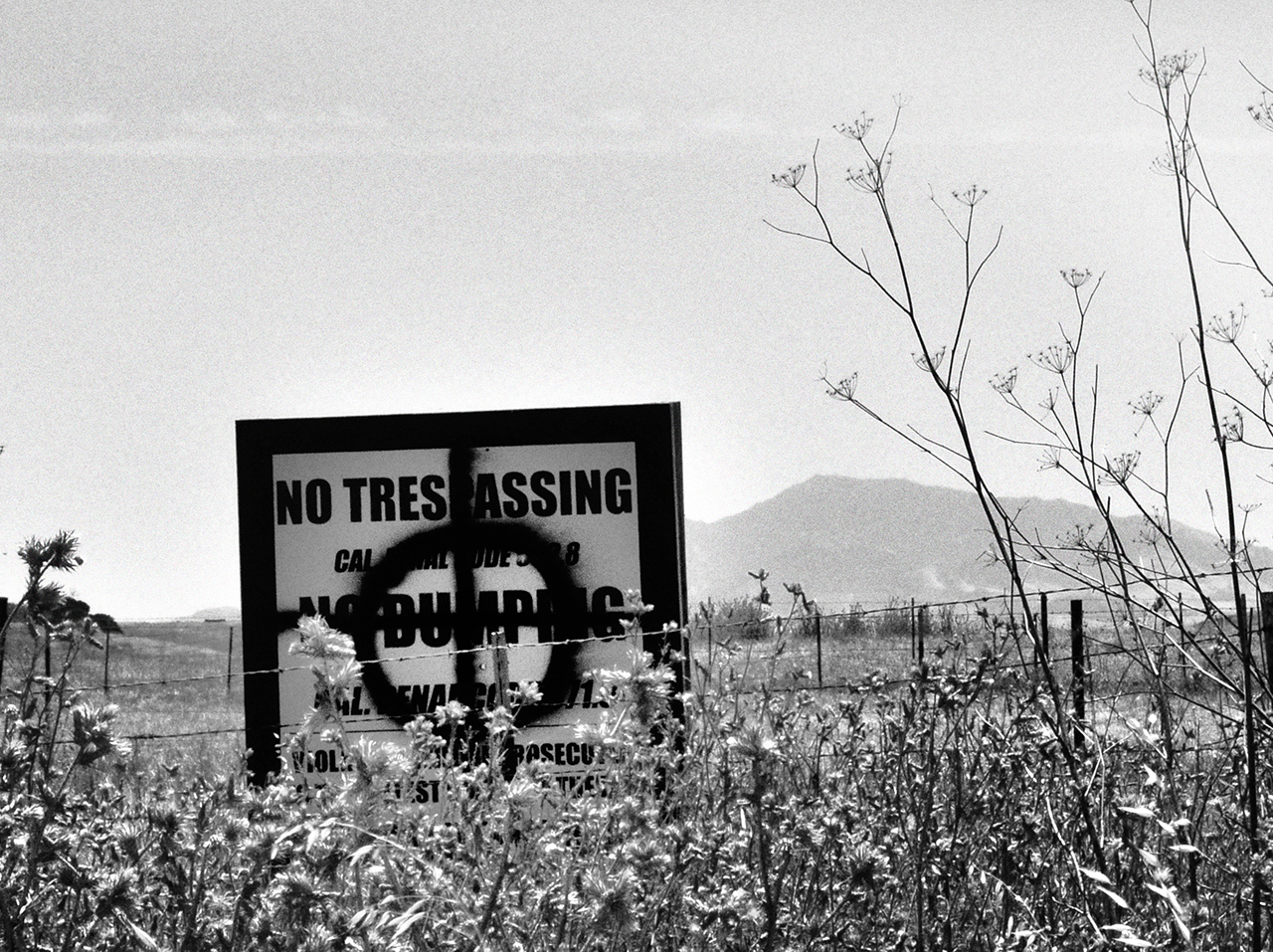 Pseudocognitive Chasing the Zodiac, Part II The anniversary of the