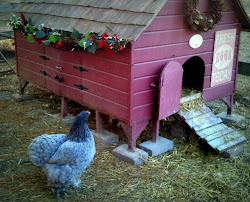 coop chicken chickens building think decorating decorate consider some various starting holidays crazy bit even