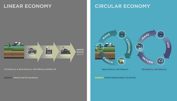 Autossustentável: Economia Linear x Economia Circular Autossustentável: Economia Linear x Economia Circular