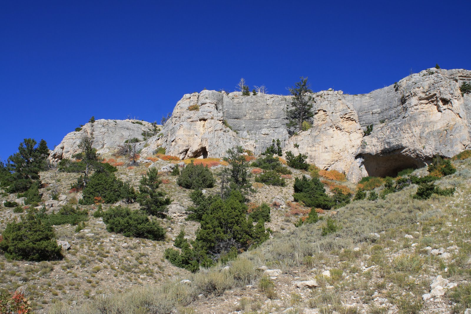 Living and Dyeing Under the Big Sky Pryor Mountain Cave