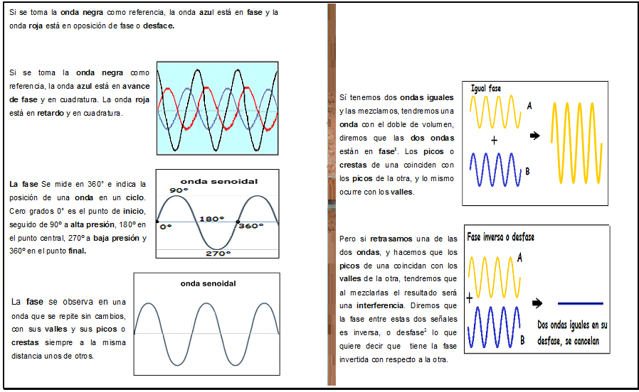 Movimiento Ondulatorio Partes De Una Onda Fase Y Desf vrogue.co